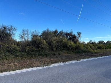 BACK ON THE MARKET! Build Your Florida Dream Home at 1434 on Deep Creek Golf Club in Florida - for sale on GolfHomes.com, golf home, golf lot
