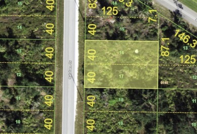 BACK ON THE MARKET! Build Your Florida Dream Home at 1434 on Deep Creek Golf Club in Florida - for sale on GolfHomes.com, golf home, golf lot