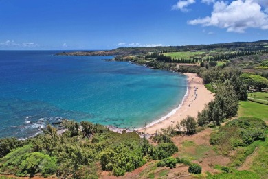 Discover unparalleled elegance in this exquisite 1-bedroom on Kapalua Golf Club - Bay Course in Hawaii - for sale on GolfHomes.com, golf home, golf lot