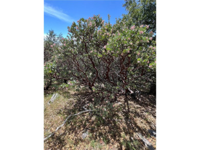 Moderately sloped vacant land in Lake Arrowhead Woods. This lot on Lake Arrowhead Country Club in California - for sale on GolfHomes.com, golf home, golf lot