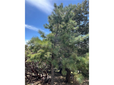 Moderately sloped vacant land in Lake Arrowhead Woods. This lot on Lake Arrowhead Country Club in California - for sale on GolfHomes.com, golf home, golf lot