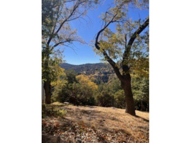 Moderately sloped vacant land in Lake Arrowhead Woods. This lot on Lake Arrowhead Country Club in California - for sale on GolfHomes.com, golf home, golf lot
