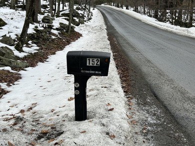 Tanglwood Lakes Community at Lake Wallenpaupack! This Modern and on Paupack Hills Golf and Country Club in Pennsylvania - for sale on GolfHomes.com, golf home, golf lot