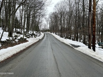 Tanglwood Lakes Community at Lake Wallenpaupack! This Modern and on Paupack Hills Golf and Country Club in Pennsylvania - for sale on GolfHomes.com, golf home, golf lot