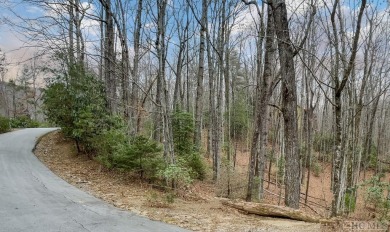 Introducing an exceptional opportunity on Peach Court - a on Sapphire National Golf Club in North Carolina - for sale on GolfHomes.com, golf home, golf lot