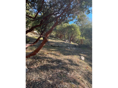 A unique gentle sloping large parcel in prestigious Lake on Lake Arrowhead Country Club in California - for sale on GolfHomes.com, golf home, golf lot