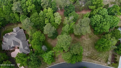 Craft your custom retreat on this .37-acre homesite with views on River Landing Golf Course in North Carolina - for sale on GolfHomes.com, golf home, golf lot