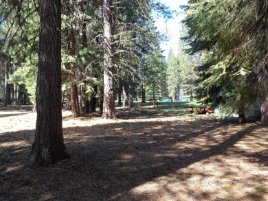 Great golf course lot on the water hole at Lake Almanor West on Lake Almanor West Golf Course in California - for sale on GolfHomes.com, golf home, golf lot
