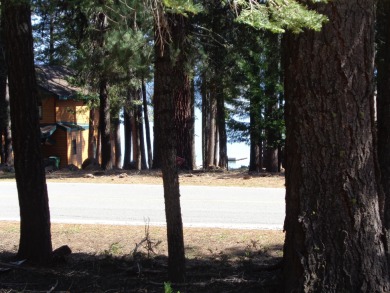 Great golf course lot on the water hole at Lake Almanor West on Lake Almanor West Golf Course in California - for sale on GolfHomes.com, golf home, golf lot