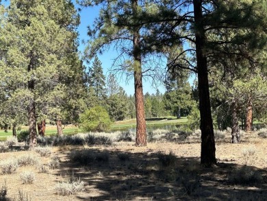 Lot 86 at Aspen Lakes Golf Estates. Ready for your dream home! on Aspen Lakes Golf Course in Oregon - for sale on GolfHomes.com, golf home, golf lot