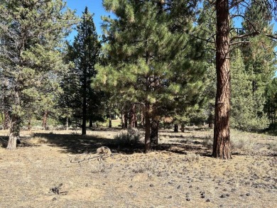 Lot 86 at Aspen Lakes Golf Estates. Ready for your dream home! on Aspen Lakes Golf Course in Oregon - for sale on GolfHomes.com, golf home, golf lot