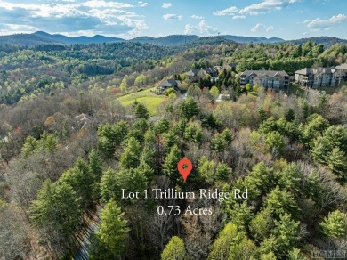 PRICE Improvement! Welcome to Lot 1 Center Ridge Road in on Trillium Links in North Carolina - for sale on GolfHomes.com, golf home, golf lot