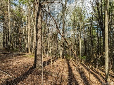 PRICE Improvement! Welcome to Lot 1 Center Ridge Road in on Trillium Links in North Carolina - for sale on GolfHomes.com, golf home, golf lot