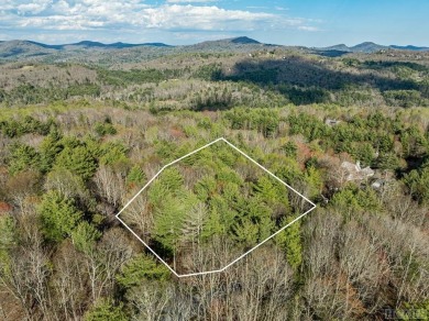 PRICE Improvement! Welcome to Lot 1 Center Ridge Road in on Trillium Links in North Carolina - for sale on GolfHomes.com, golf home, golf lot