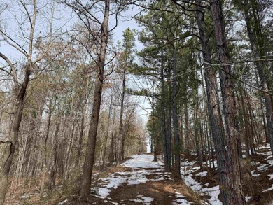 Rare opportunity to own 21.88 acres in one of Mountain View's on Pine Hills Golf Course in Arkansas - for sale on GolfHomes.com, golf home, golf lot