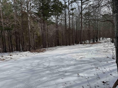 Rare opportunity to own 21.88 acres in one of Mountain View's on Pine Hills Golf Course in Arkansas - for sale on GolfHomes.com, golf home, golf lot