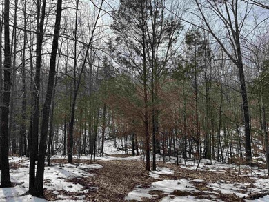 Rare opportunity to own 21.88 acres in one of Mountain View's on Pine Hills Golf Course in Arkansas - for sale on GolfHomes.com, golf home, golf lot