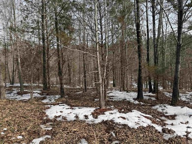 Rare opportunity to own 21.88 acres in one of Mountain View's on Pine Hills Golf Course in Arkansas - for sale on GolfHomes.com, golf home, golf lot