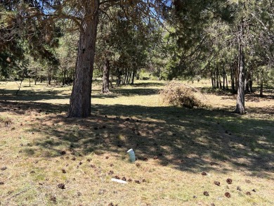 Rare opportunity to own a prime lot in the prestigious Running Y on Running Y Ranch Resort in Oregon - for sale on GolfHomes.com, golf home, golf lot