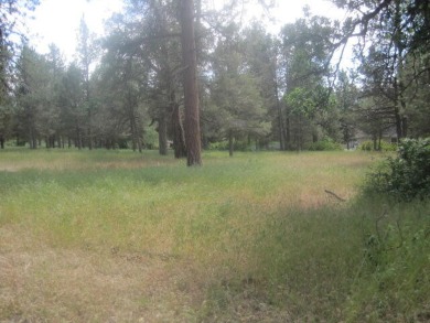 Affordable .52 Acre Lot in the Beautiful Running Y. Easy Build on Running Y Ranch Resort in Oregon - for sale on GolfHomes.com, golf home, golf lot