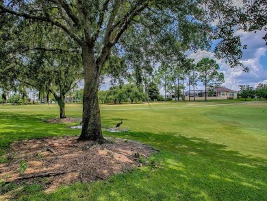 GOLF FRONT LIVING WITH NO BOND! This beautiful 3 Bedroom, 2 Bath on The Links of Spruce Creek in Florida - for sale on GolfHomes.com, golf home, golf lot