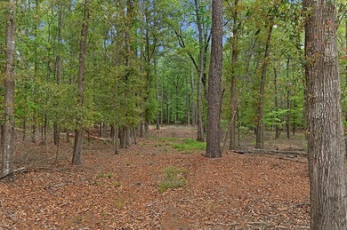 Three spacious lots totaling 6.725 acres are ready for you to on Rayburn Country Club in Texas - for sale on GolfHomes.com, golf home, golf lot