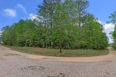 Three spacious lots totaling 6.725 acres are ready for you to on Rayburn Country Club in Texas - for sale on GolfHomes.com, golf home, golf lot