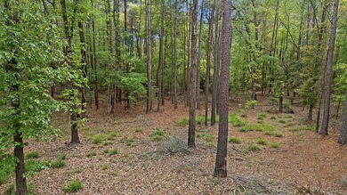 Three spacious lots totaling 6.725 acres are ready for you to on Rayburn Country Club in Texas - for sale on GolfHomes.com, golf home, golf lot