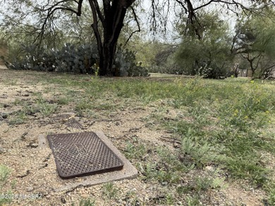 Build your dream home on this ready-to-go lot in the desirable on Country Club of Green Valley in Arizona - for sale on GolfHomes.com, golf home, golf lot