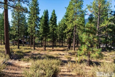 Desirable Clear Creek parcel, located in a quiet section of the on Clear Creek Tahoe in Nevada - for sale on GolfHomes.com, golf home, golf lot