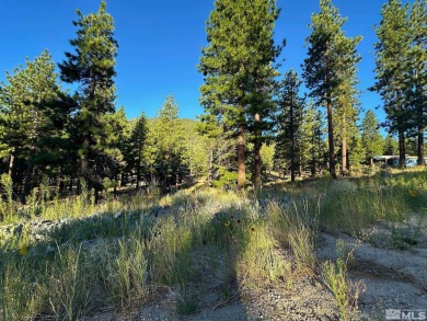 Desirable Clear Creek parcel, located in a quiet section of the on Clear Creek Tahoe in Nevada - for sale on GolfHomes.com, golf home, golf lot