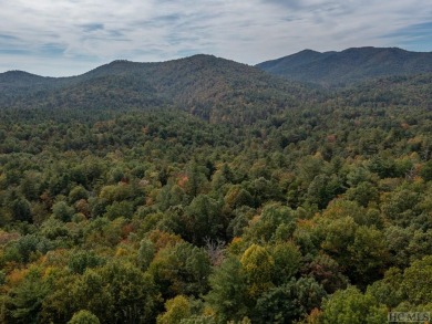 Build your mountain getaway here on Trillium Court! Conveniently on Sapphire National Golf Club in North Carolina - for sale on GolfHomes.com, golf home, golf lot