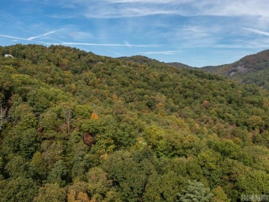 Build your mountain getaway here on Trillium Court! Conveniently on Sapphire National Golf Club in North Carolina - for sale on GolfHomes.com, golf home, golf lot