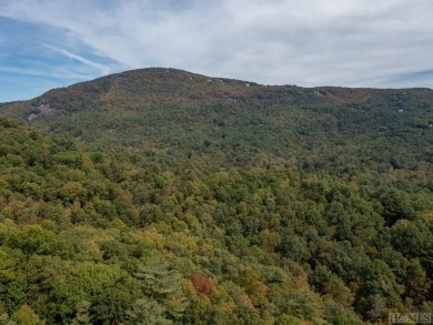 Build your mountain getaway here on Trillium Court! Conveniently on Sapphire National Golf Club in North Carolina - for sale on GolfHomes.com, golf home, golf lot