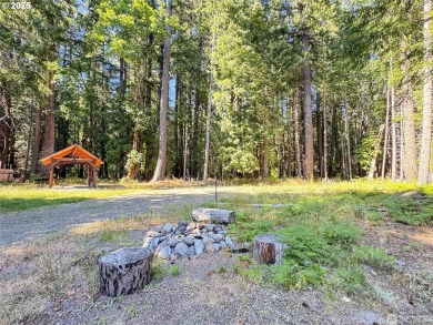 Discover an outdoor enthusiasts paradise at 106 Maple Court! on High Valley Country Club in Washington - for sale on GolfHomes.com, golf home, golf lot