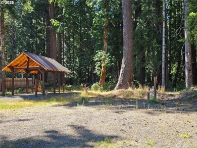 Discover an outdoor enthusiasts paradise at 106 Maple Court! on High Valley Country Club in Washington - for sale on GolfHomes.com, golf home, golf lot