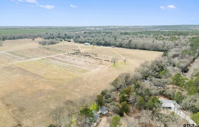 Tucked away on a beautifully wooded lot in the heart of East on Holly Lake Ranch Golf Club in Texas - for sale on GolfHomes.com, golf home, golf lot