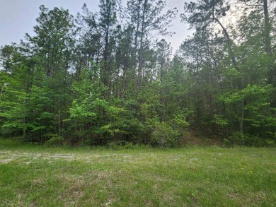Welcome to a lifestyle shift, peaceful, relaxation and ease. Be on Rayburn Country Club in Texas - for sale on GolfHomes.com, golf home, golf lot