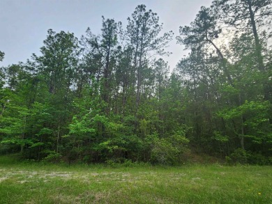 Welcome to a lifestyle shift, peaceful, relaxation and ease. Be on Rayburn Country Club in Texas - for sale on GolfHomes.com, golf home, golf lot