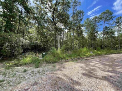 Seasonal Waterfront/Water Access lot in a secluded area of on Rayburn Country Club in Texas - for sale on GolfHomes.com, golf home, golf lot