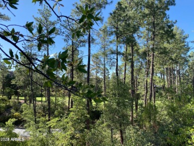 Build your dream home on the 14th fairway lot and its surrounded on The Golf Club At Chaparral Pines in Arizona - for sale on GolfHomes.com, golf home, golf lot