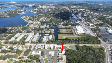 Turnkey, Updated, and Move-In Ready! This beautifully renovated on Tarpon Springs Golf Course in Florida - for sale on GolfHomes.com, golf home, golf lot