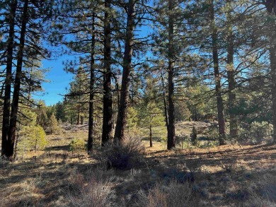 Discover the ideal setting for your dream home on this scenic on Nakoma Golf Resort in California - for sale on GolfHomes.com, golf home, golf lot