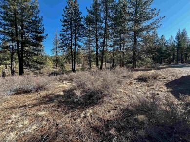 Discover the ideal setting for your dream home on this scenic on Nakoma Golf Resort in California - for sale on GolfHomes.com, golf home, golf lot