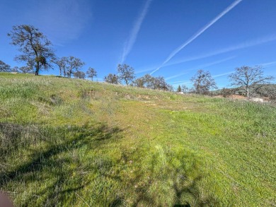 This is a wonderful 1 acre lot located right off Copper Cove on The Club at Copper Valley Golf Course in California - for sale on GolfHomes.com, golf home, golf lot