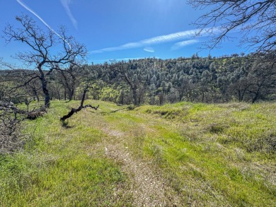 This is a wonderful 1 acre lot located right off Copper Cove on The Club at Copper Valley Golf Course in California - for sale on GolfHomes.com, golf home, golf lot