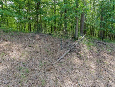 *OWNER FINANCING AVAILABLE*  Here is a wonderful opportunity for on Diamondhead Golf and Country Club in Arkansas - for sale on GolfHomes.com, golf home, golf lot