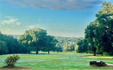 Cleared, flat, and elevated above the road, this ready-to-build on Citrus Springs Country Club in Florida - for sale on GolfHomes.com, golf home, golf lot