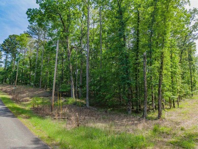 *OWNER FINANCING AVAILABLE*  Here is a wonderful opportunity for on Diamondhead Golf and Country Club in Arkansas - for sale on GolfHomes.com, golf home, golf lot