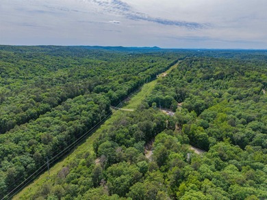 *OWNER FINANCING AVAILABLE*  Here is a wonderful opportunity for on Diamondhead Golf and Country Club in Arkansas - for sale on GolfHomes.com, golf home, golf lot